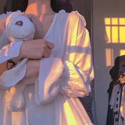 大小姐的贴身保镖