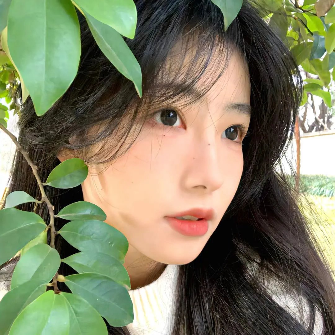 爱你，维克托第三季